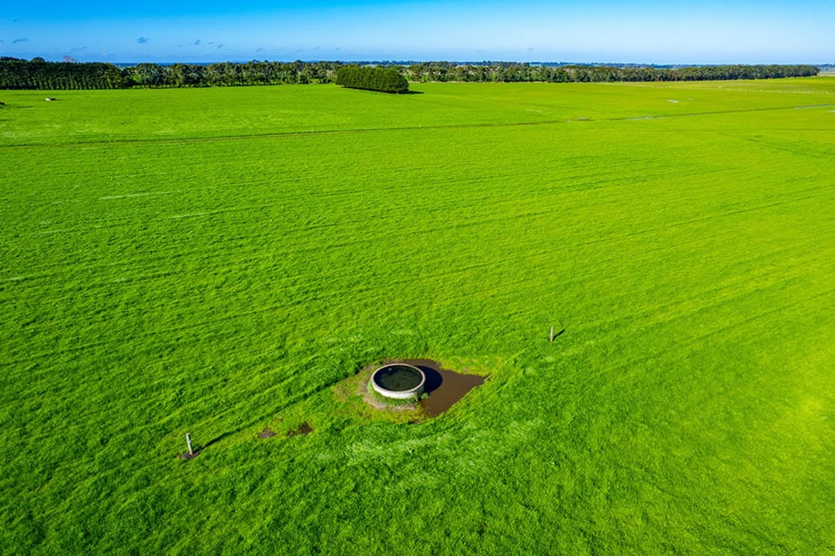 Corner of Cooramook & Injemira Roads, Grassmere, VIC, Grassmere - Thumbnail 2