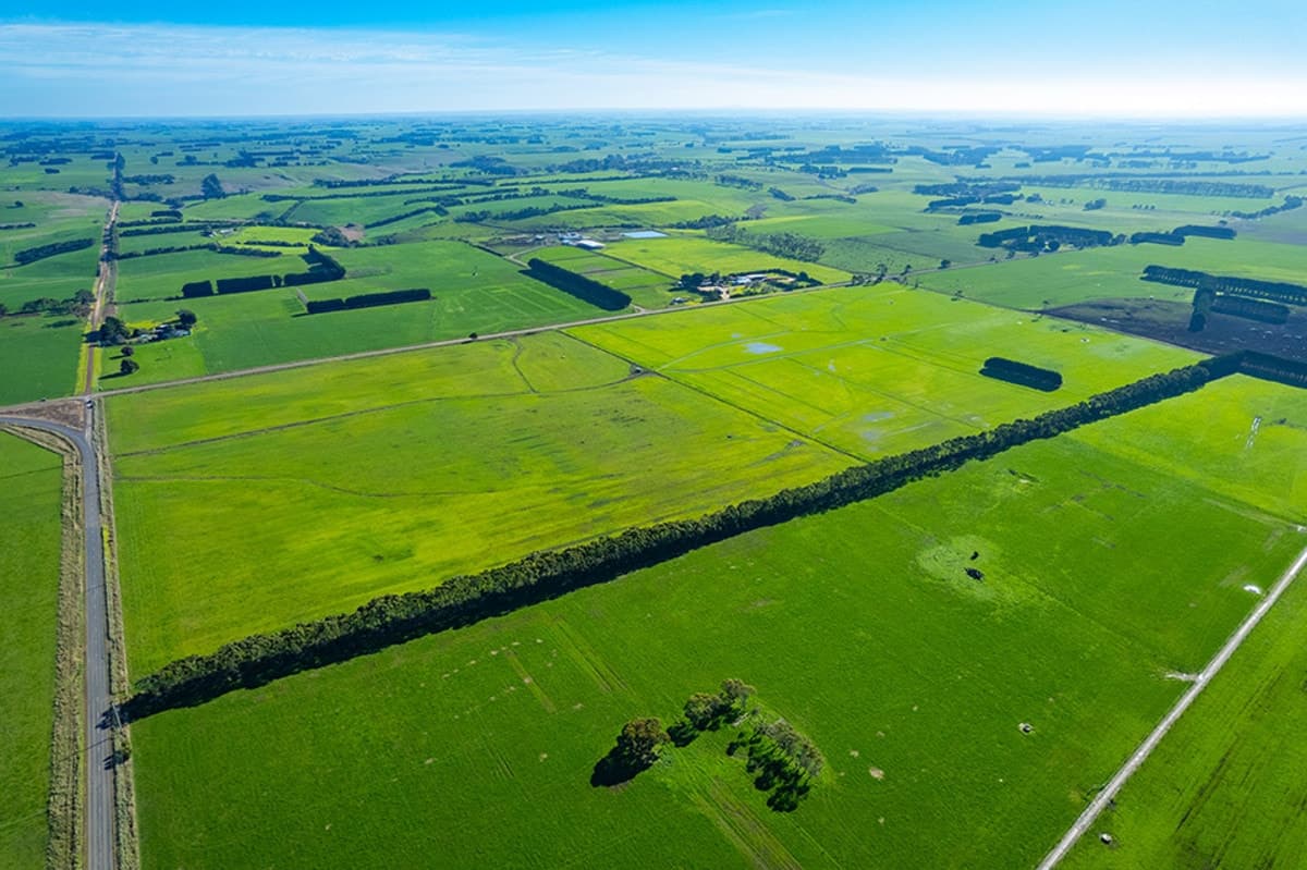 Corner of Cooramook & Injemira Roads, Grassmere, VIC, Grassmere - Thumbnail 4