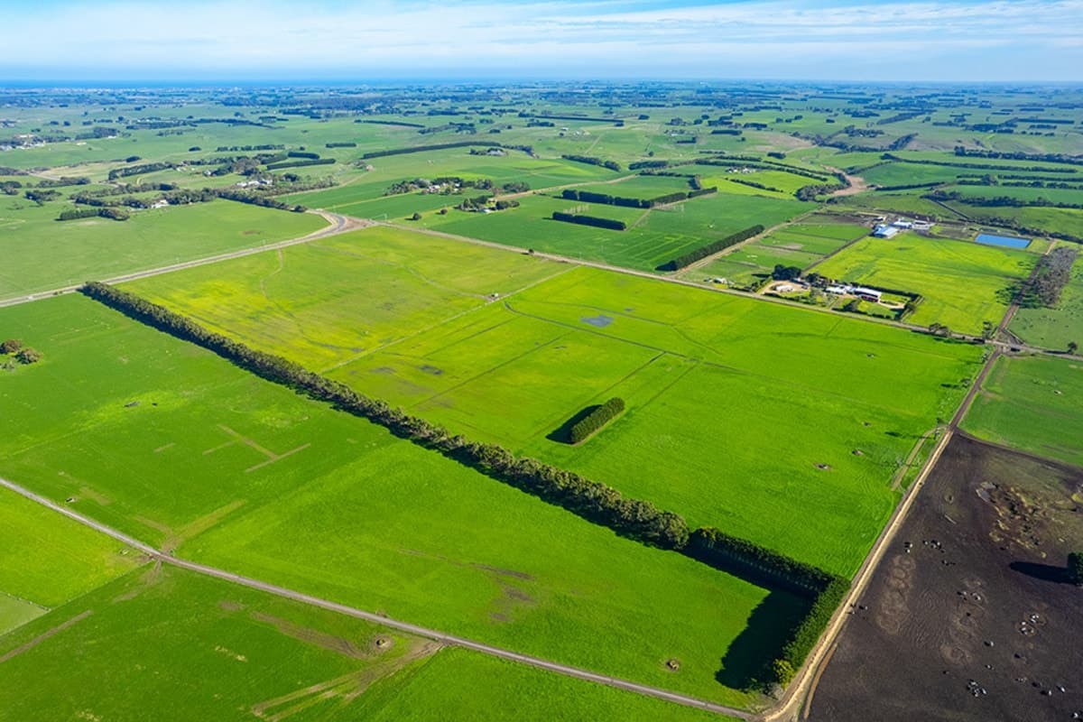 Corner of Cooramook & Injemira Roads, Grassmere, VIC, Grassmere - Thumbnail 5