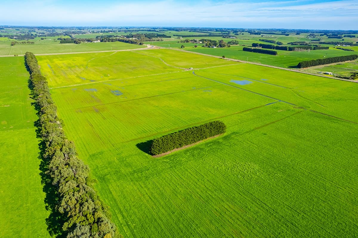 Corner of Cooramook & Injemira Roads, Grassmere, VIC, Grassmere - Thumbnail 8