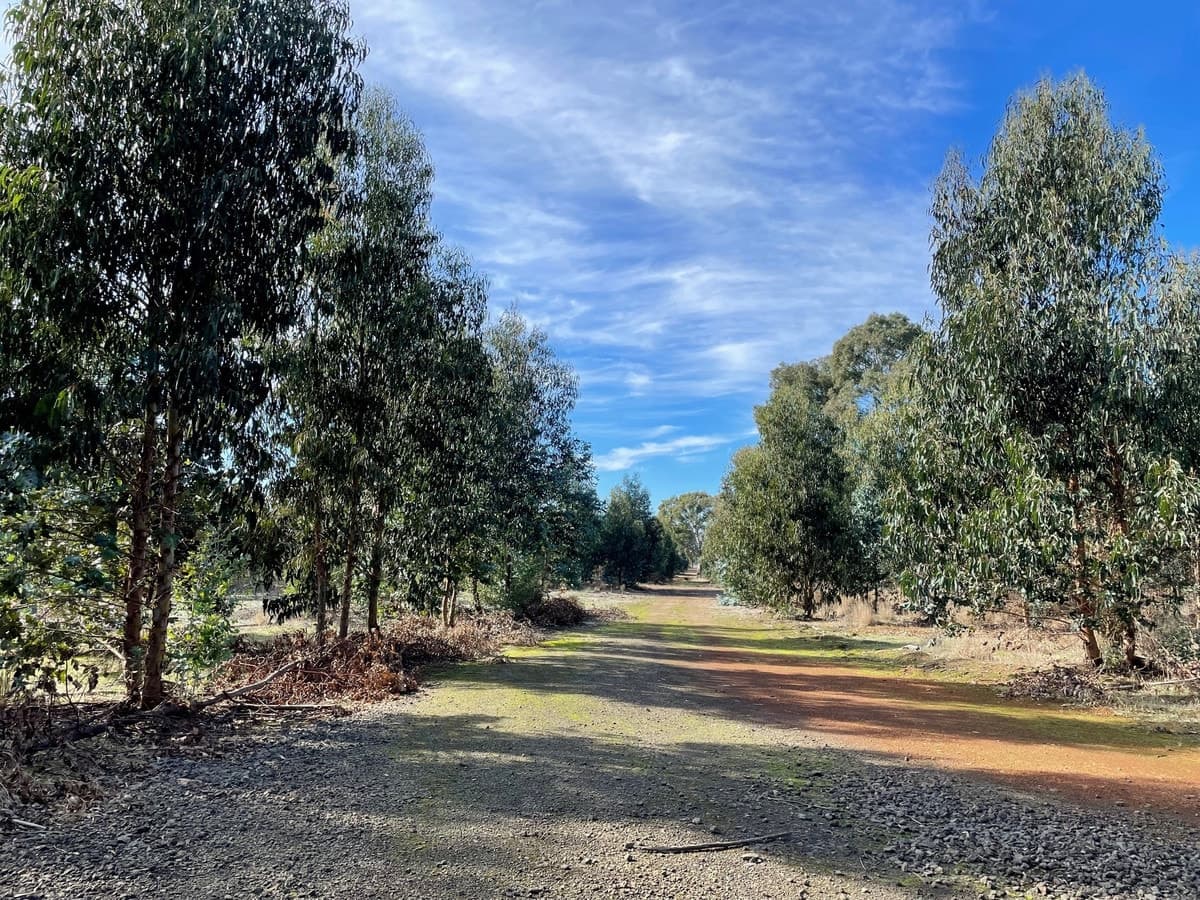 260 Bells Lane, Vasey, VIC, Vasey - Thumbnail 3
