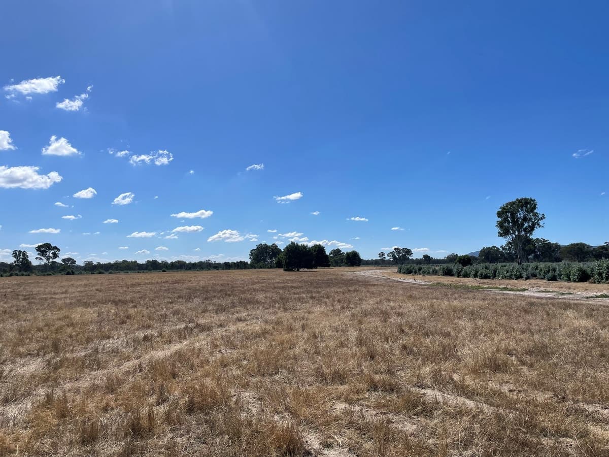 44 Gray Street, Hamilton, VIC, Hamilton - Thumbnail 6