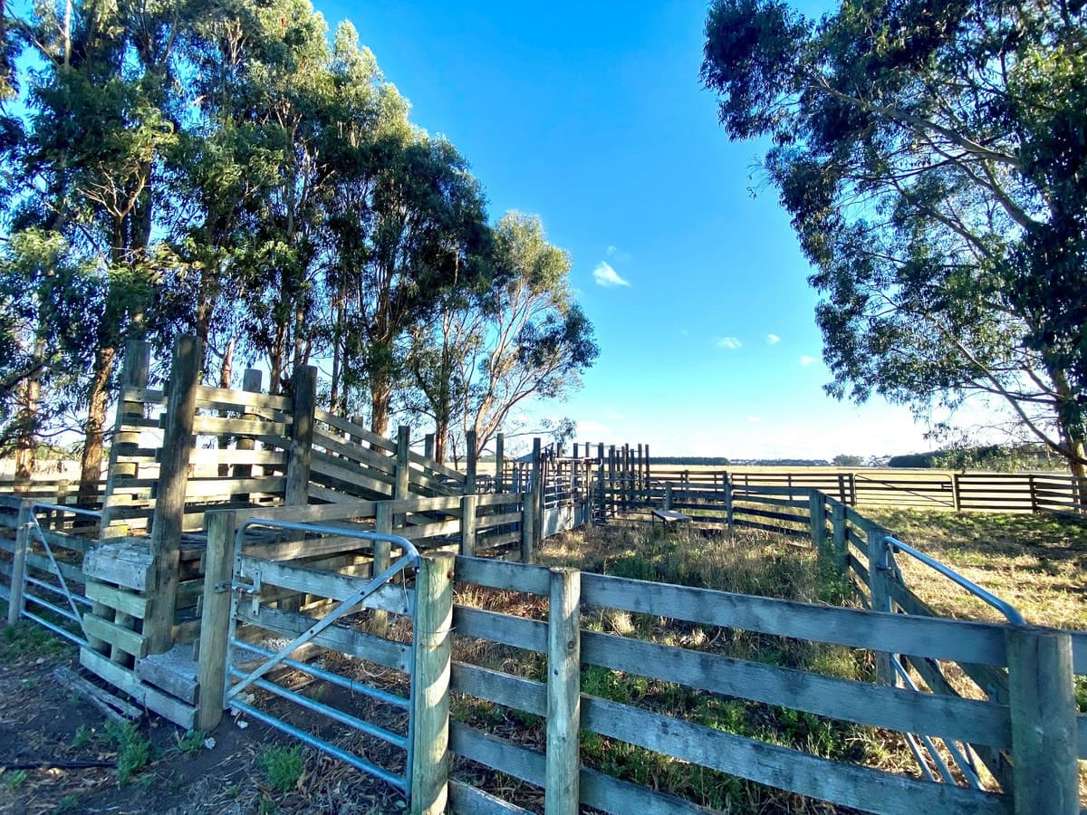 2 Bend Road, Terang, VIC, Terang - Thumbnail 3