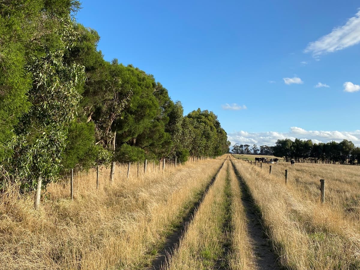 2 Bend Road, Terang, VIC, Terang - Thumbnail 4