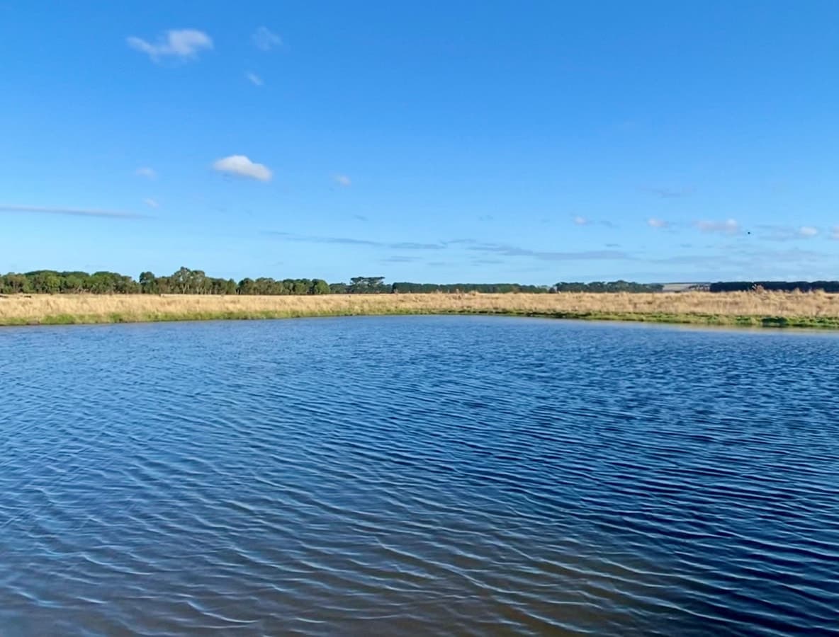 2 Bend Road, Terang, VIC, Terang - Thumbnail 5