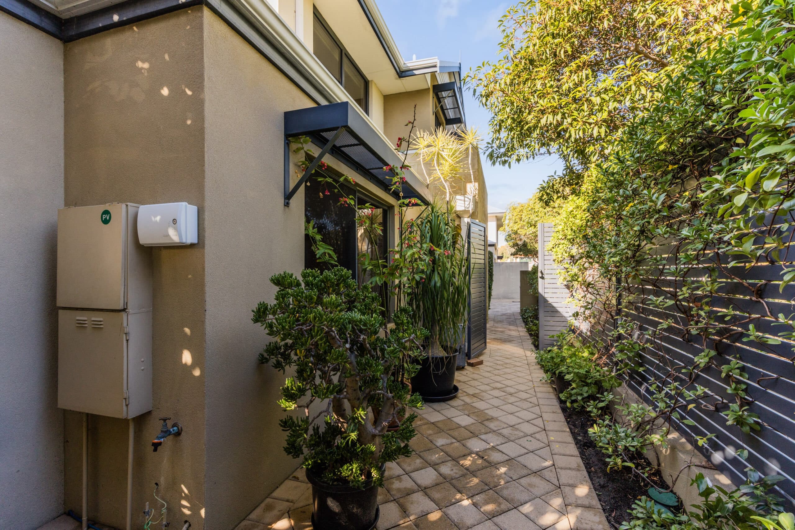 19 Thelma Street, Mosman Park - Thumbnail 3