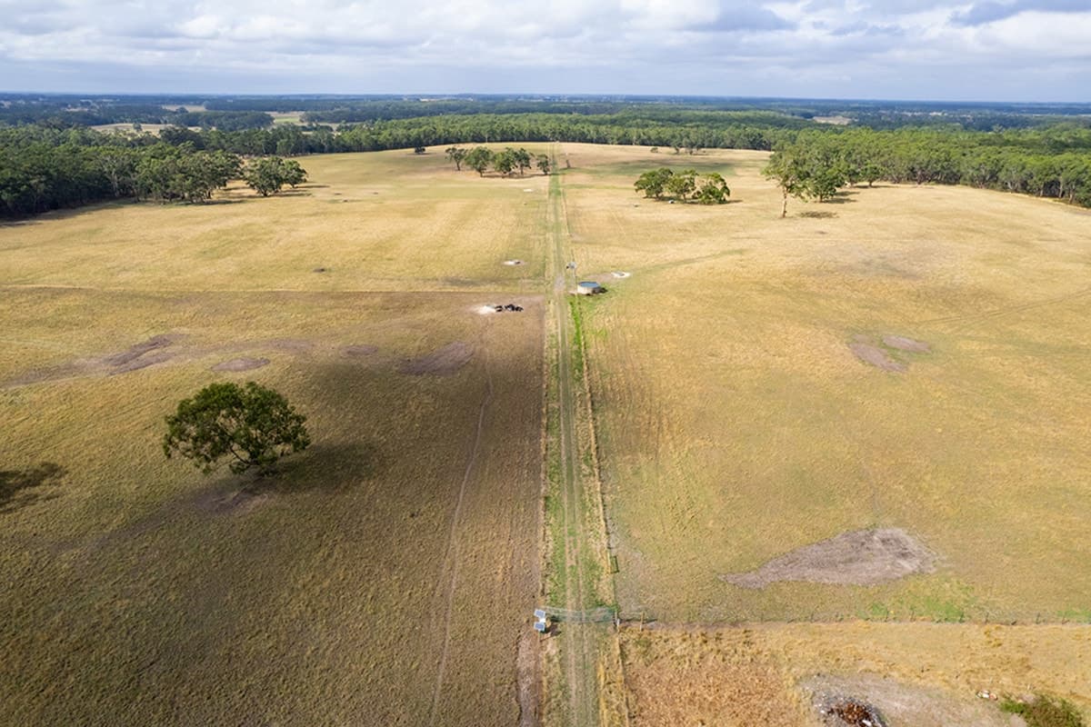 247B Thorburns Road, Laang, VIC, Laang - Thumbnail 3