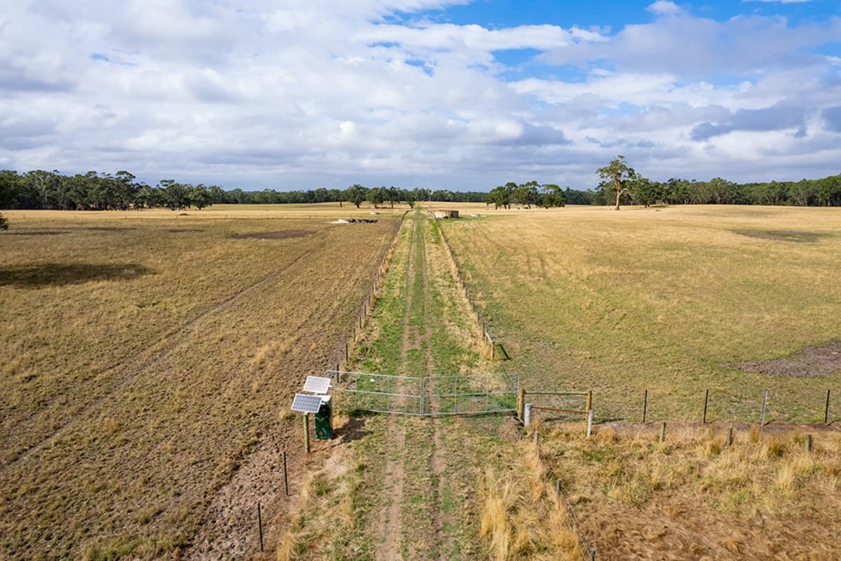 247B Thorburns Road, Laang, VIC, Laang - Thumbnail 4