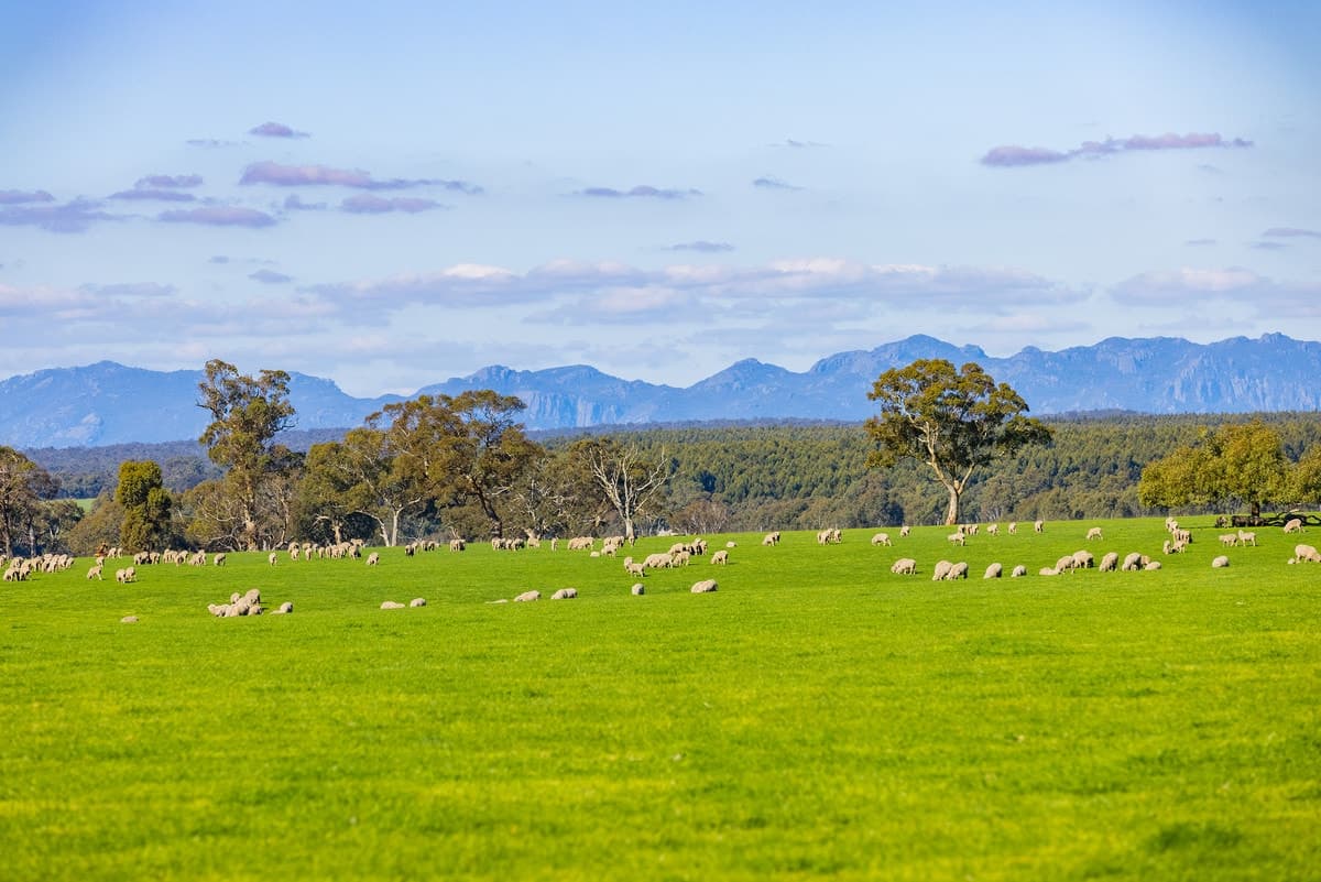 1732 East-West Road, Gatum, VIC, Gatum - Thumbnail 2
