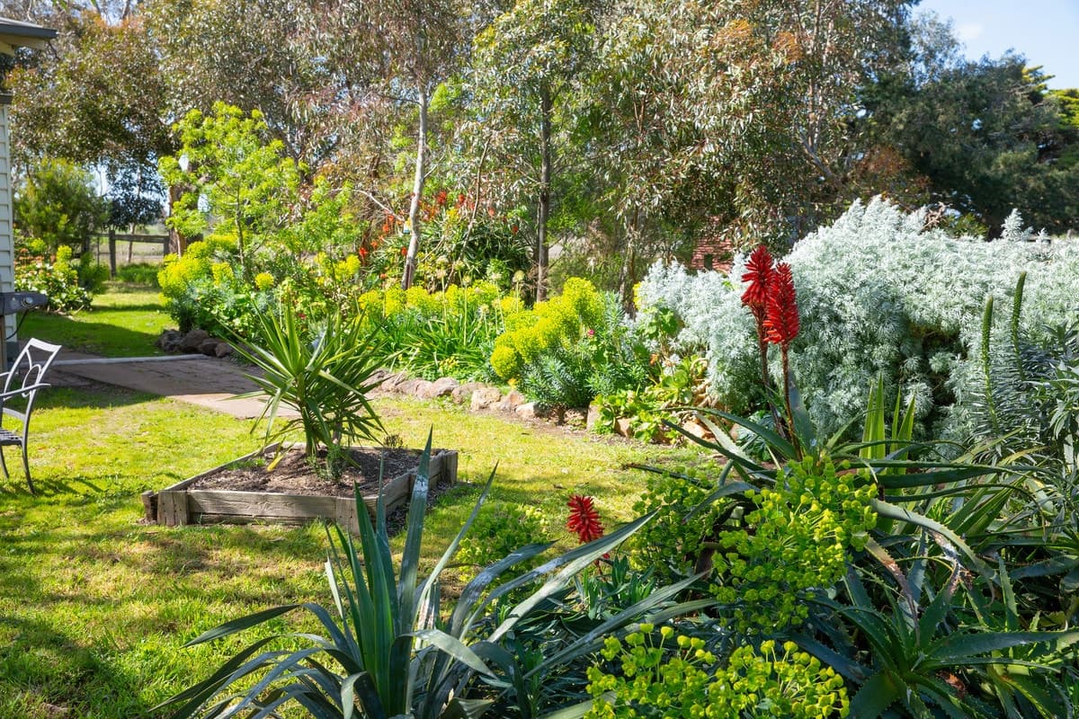 250 Woorndoo - Darlington Road, Woorndoo, VIC, Woorndoo - Thumbnail 3