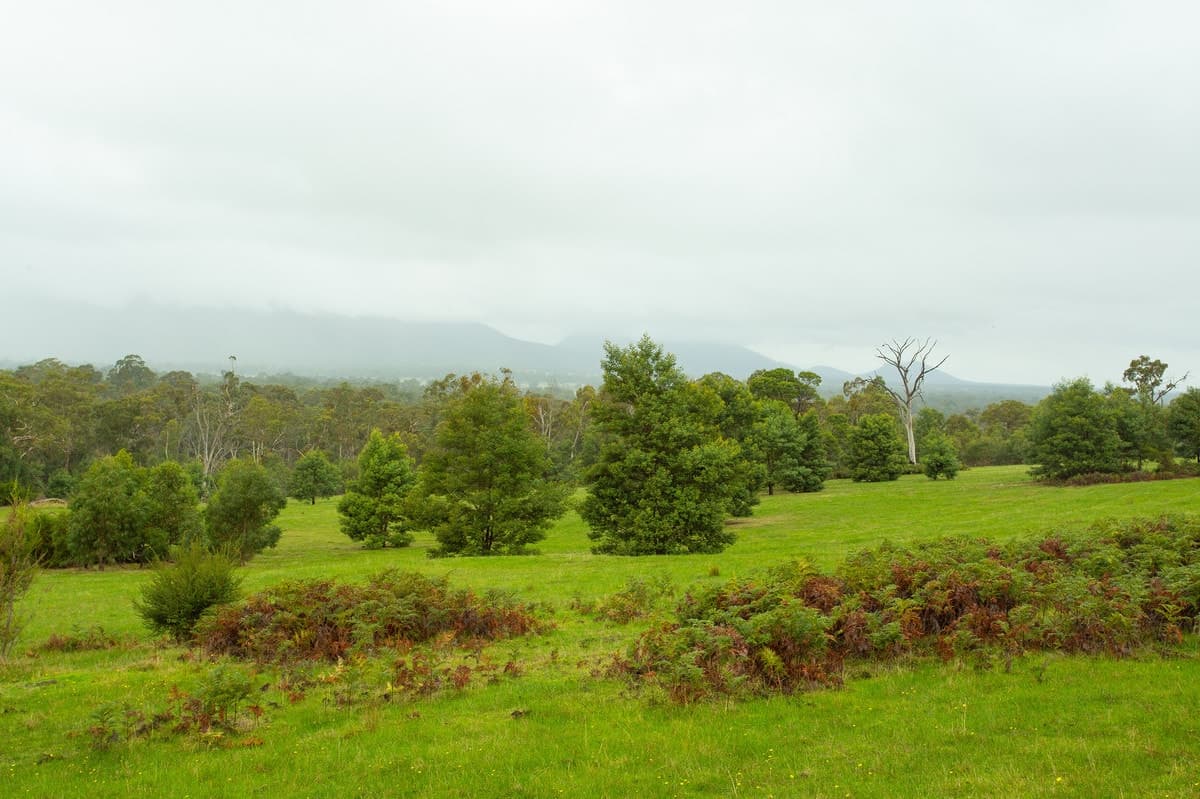 Clutterbuck Road, Victoria Valley, VIC, Victoria Valley - Thumbnail 2