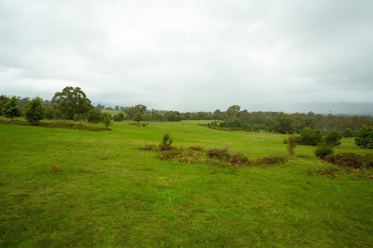 Clutterbuck Road, Victoria Valley, VIC, Victoria Valley - Thumbnail 3