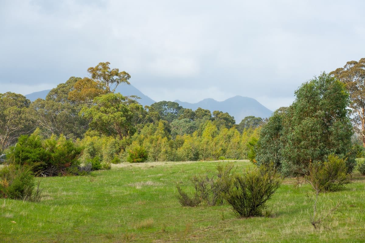 Clutterbuck Road, Victoria Valley, VIC, Victoria Valley - Thumbnail 6