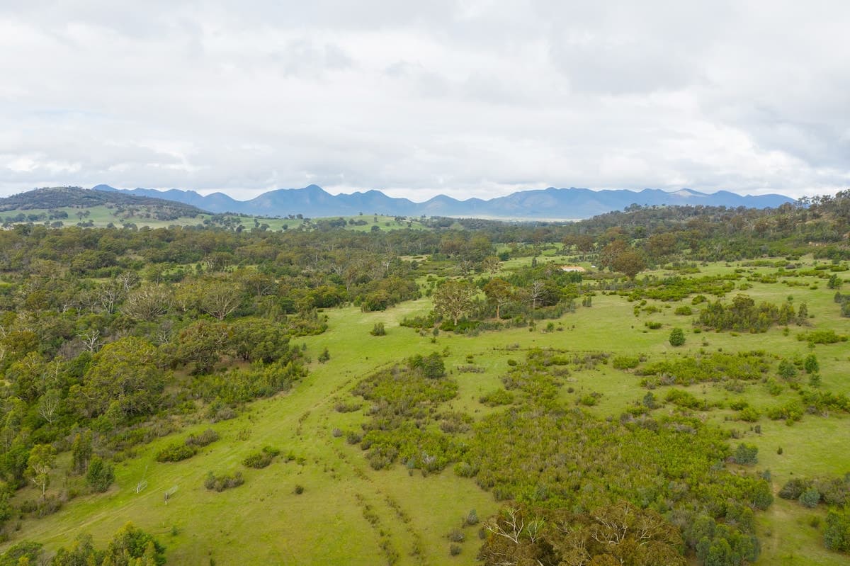 Clutterbuck Road, Victoria Valley, VIC, Victoria Valley - Thumbnail 7