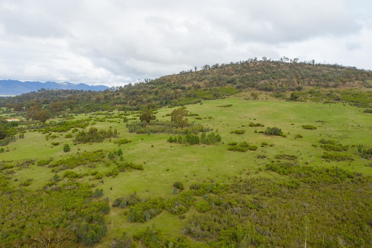 Clutterbuck Road, Victoria Valley, VIC, Victoria Valley - Thumbnail 8