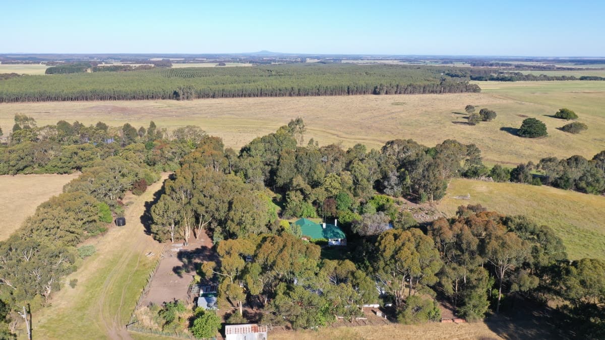 1395 Condah - Coleraine Road, Branxholme, VIC, Branxholme - Image 1
