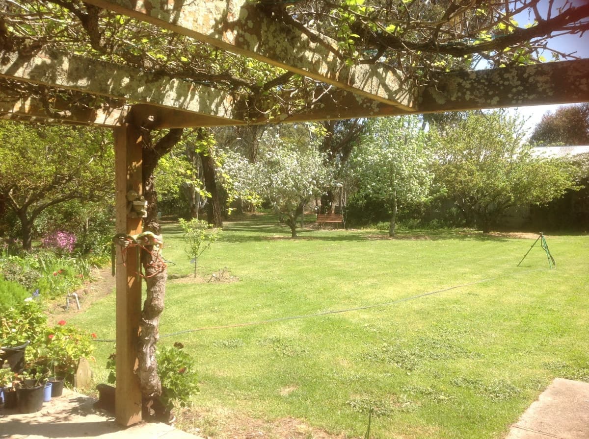 1395 Condah - Coleraine Road, Branxholme, VIC, Branxholme - Thumbnail 5