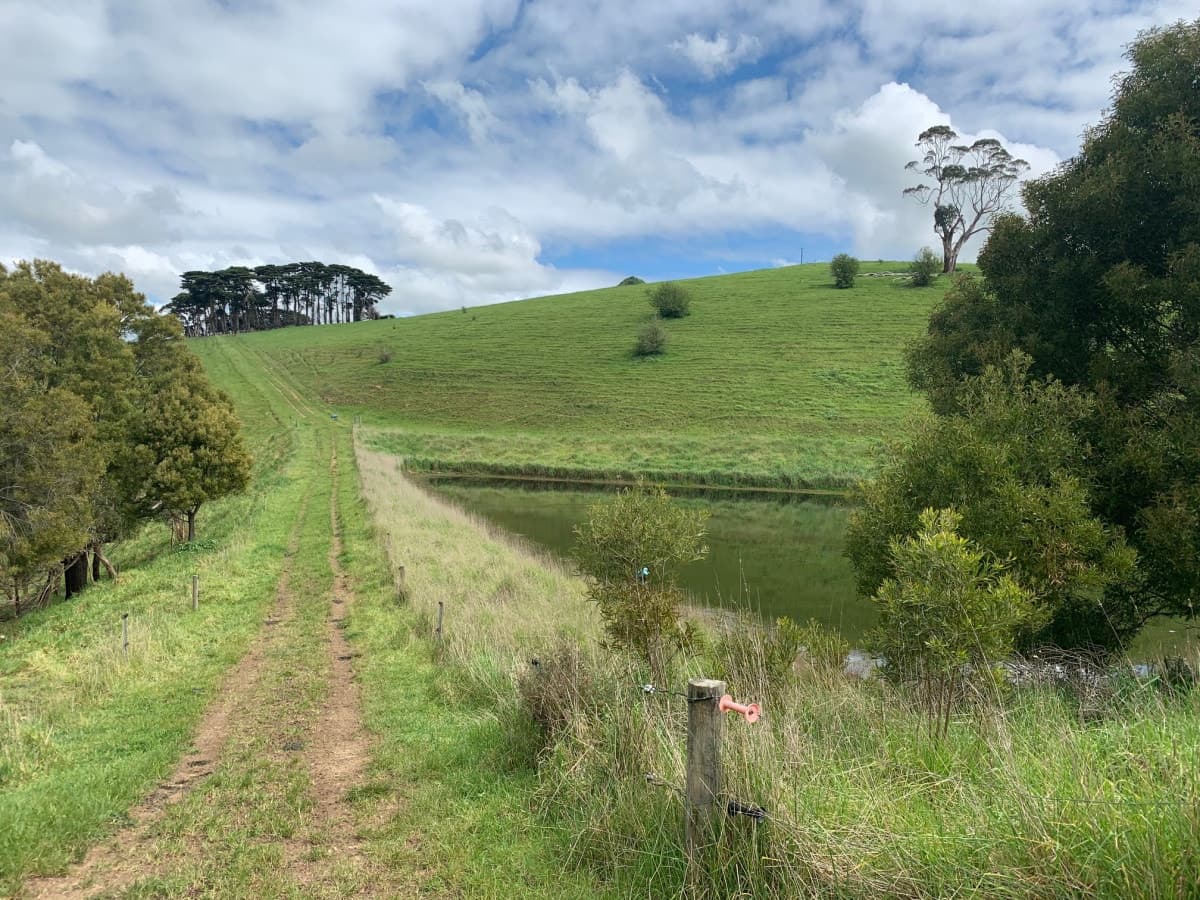 2 Dingleys Road, Cobden, VIC, Cobden - Thumbnail 4