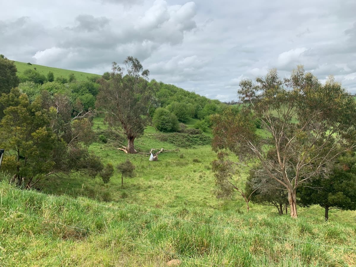 2 Dingleys Road, Cobden, VIC, Cobden - Thumbnail 5