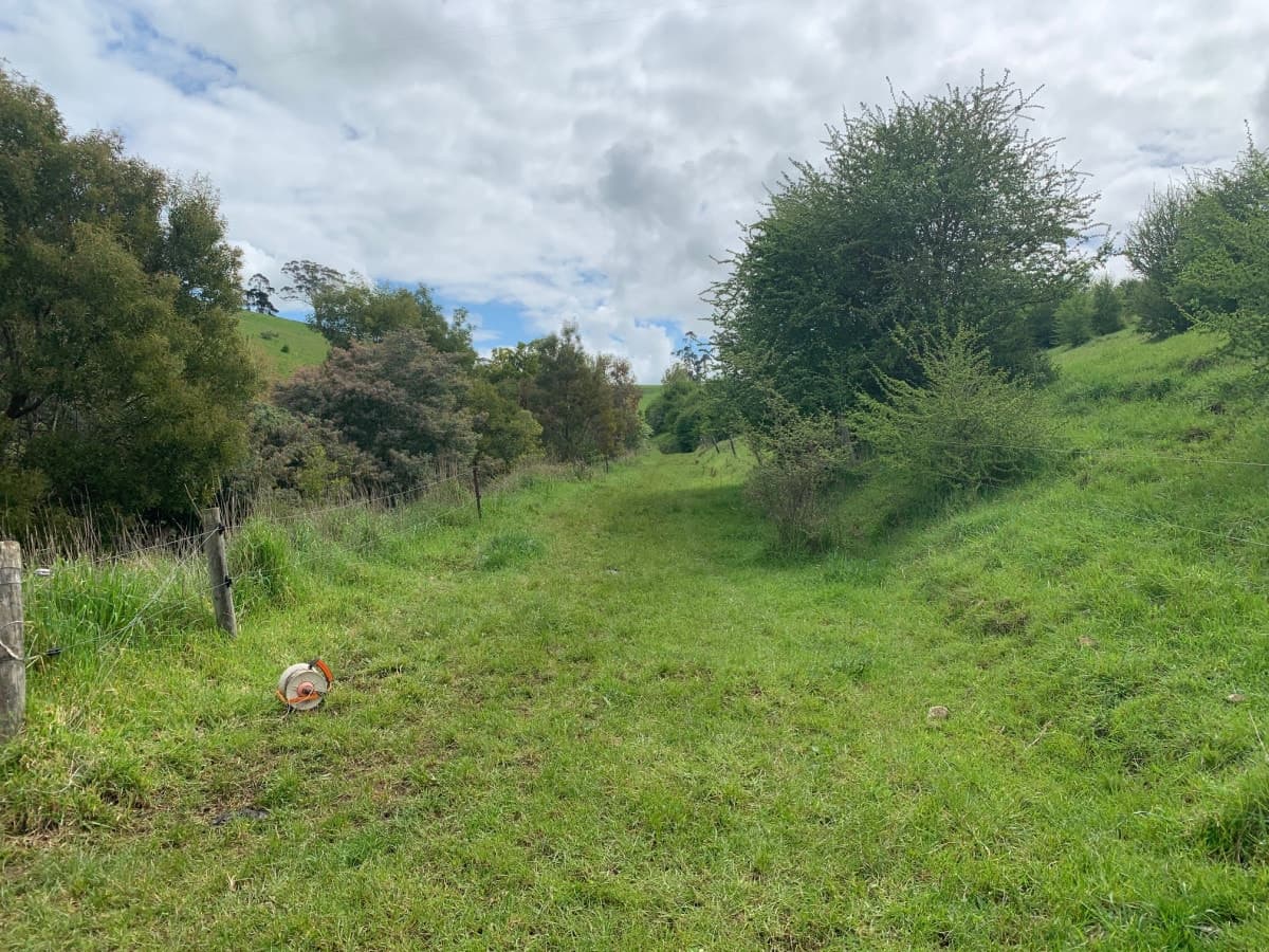 2 Dingleys Road, Cobden, VIC, Cobden - Thumbnail 8