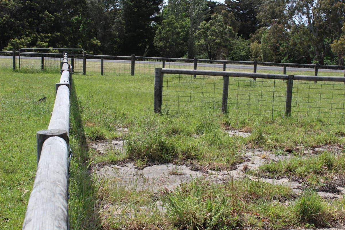 1307 Condah - Coleraine Road, Branxholme, VIC, Branxholme - Thumbnail 3