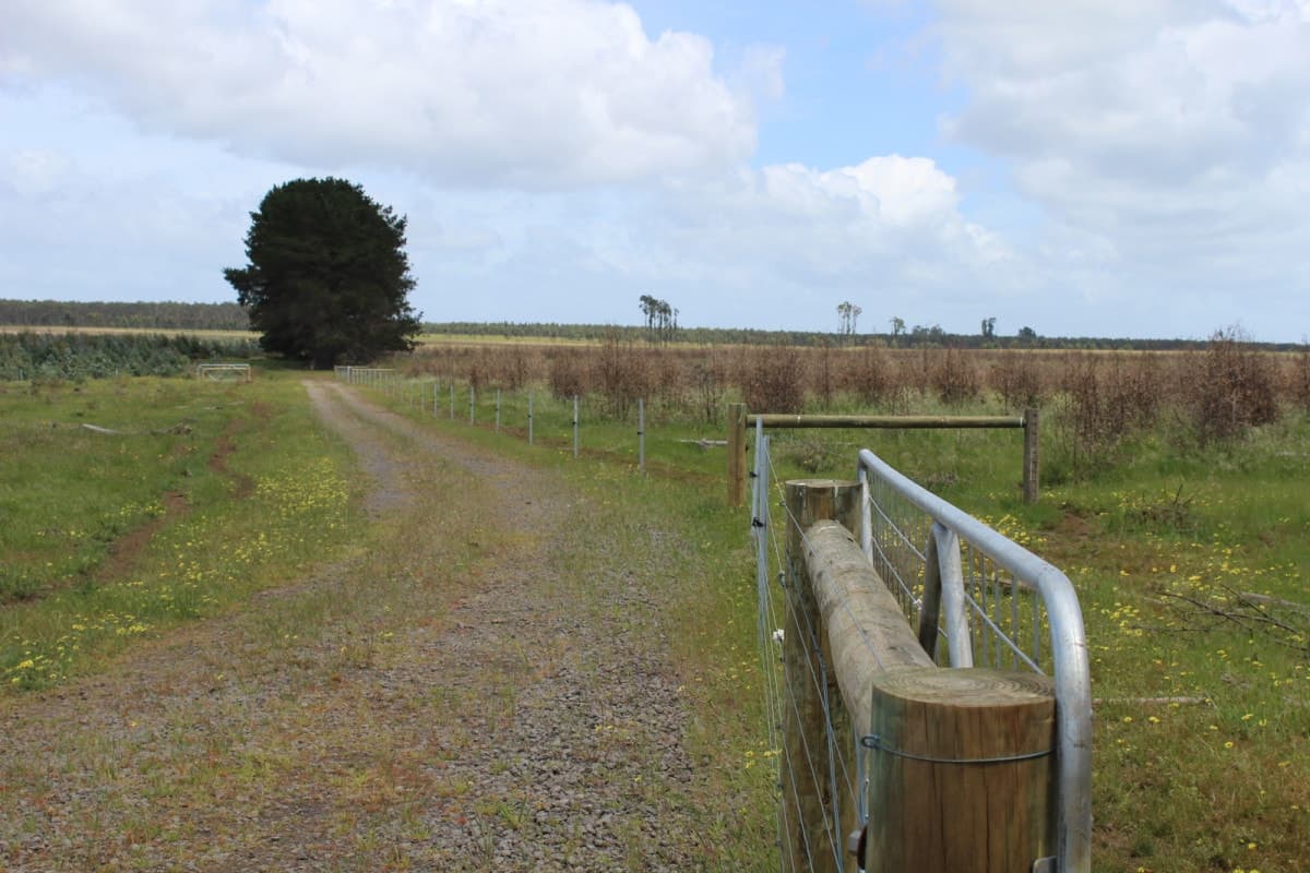 1307 Condah - Coleraine Road, Branxholme, VIC, Branxholme - Thumbnail 4