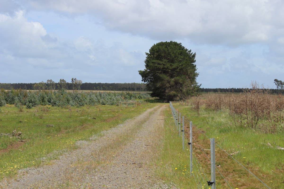 1307 Condah - Coleraine Road, Branxholme, VIC, Branxholme - Thumbnail 6