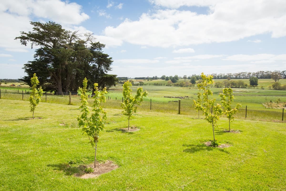 6203 Princes Highway, Terang, VIC, Terang - Thumbnail 5