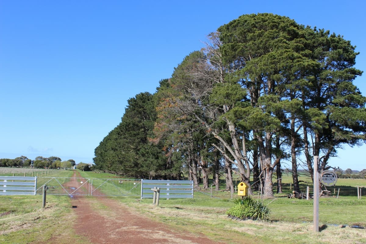 369 Noske Subdivision Road, Hensley Park, VIC, Hensley Park - Image 1