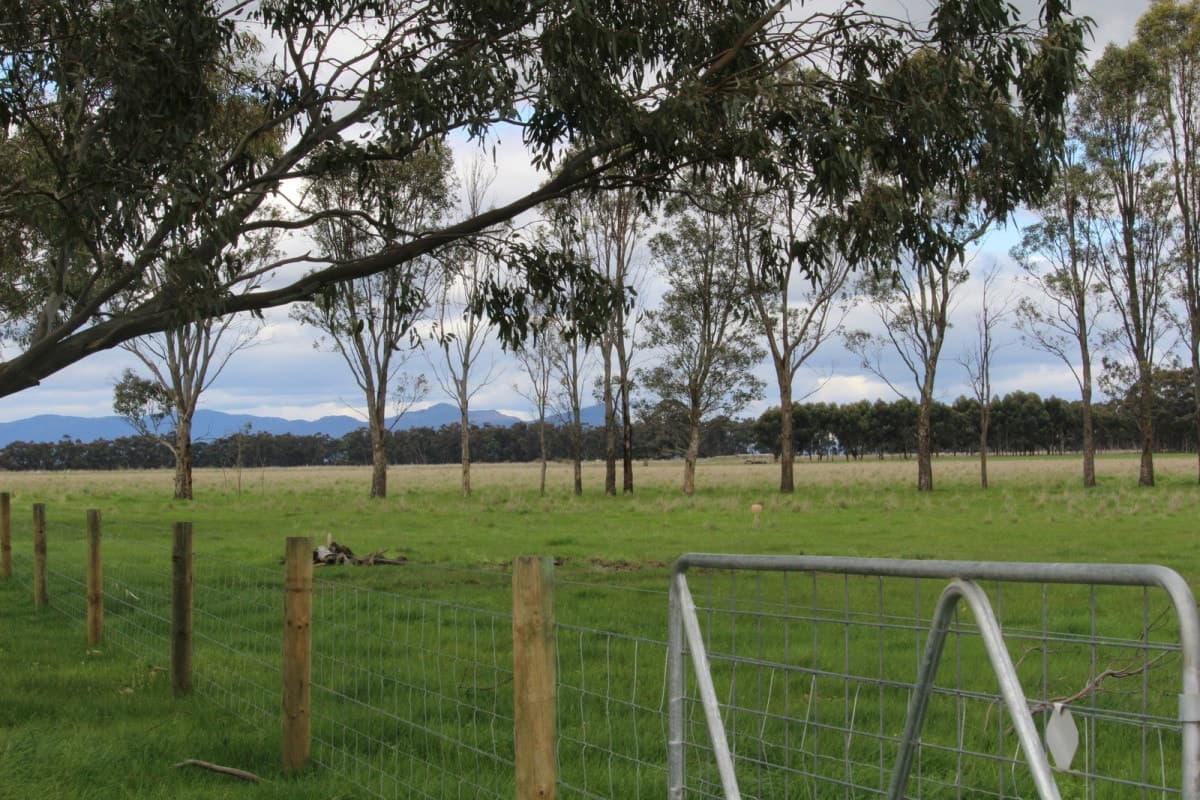 369 Noske Subdivision Road, Hensley Park, VIC, Hensley Park - Thumbnail 3