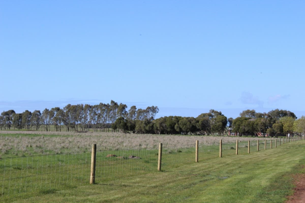 369 Noske Subdivision Road, Hensley Park, VIC, Hensley Park - Thumbnail 4