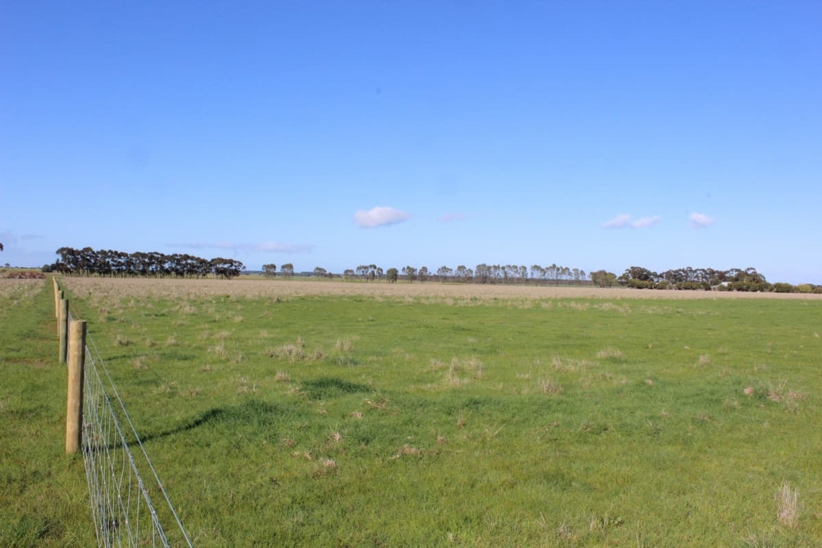 369 Noske Subdivision Road, Hensley Park, VIC, Hensley Park - Thumbnail 5