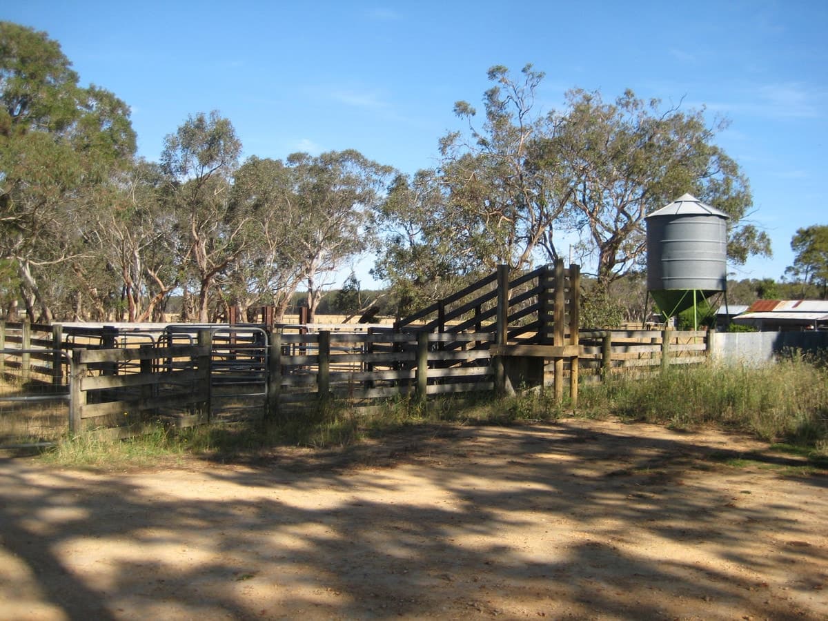 Peters Road, Tyrendarra, VIC, Tyrendarra - Image 1