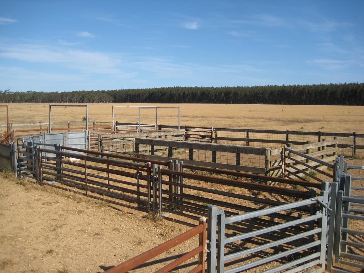 Peters Road, Tyrendarra, VIC, Tyrendarra - Thumbnail 5