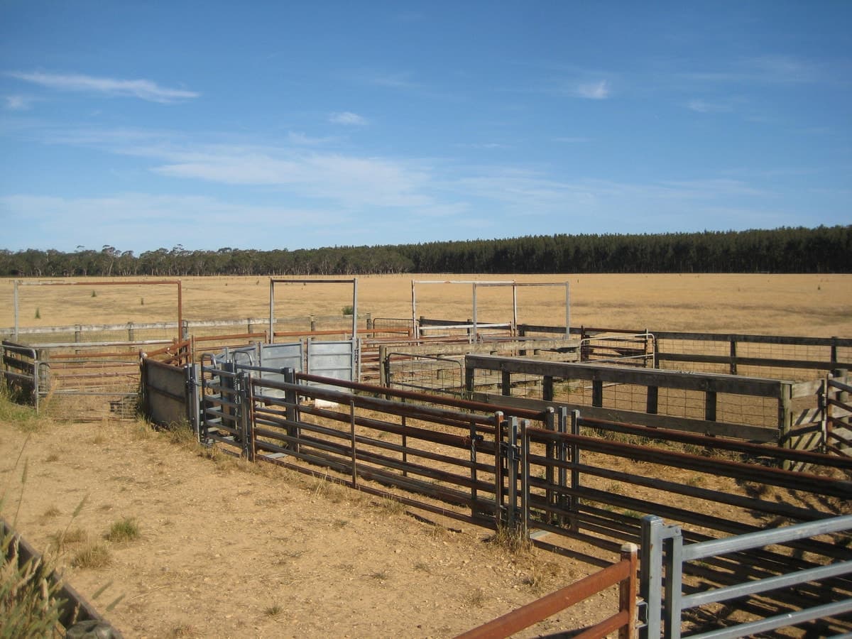 Peters Road, Tyrendarra, VIC, Tyrendarra - Thumbnail 6
