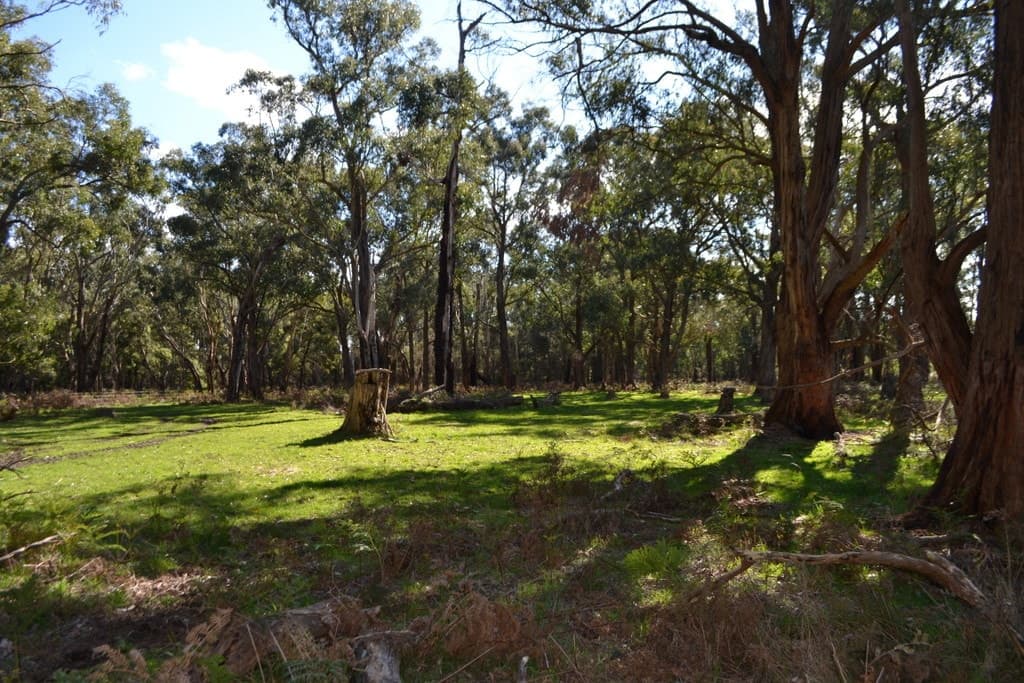 2450 Cobden Warrnambool Road, Naringal East, VIC, Naringal East - Image 1