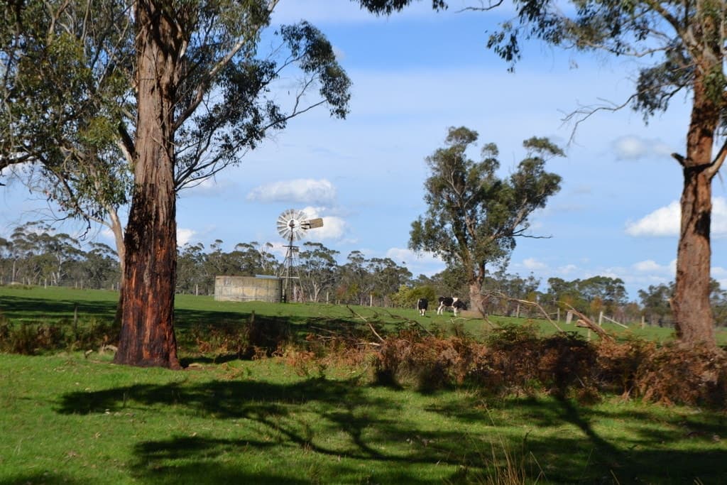 2450 Cobden Warrnambool Road, Naringal East, VIC, Naringal East - Thumbnail 3