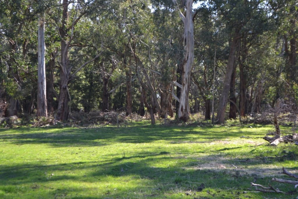 2450 Cobden Warrnambool Road, Naringal East, VIC, Naringal East - Thumbnail 4