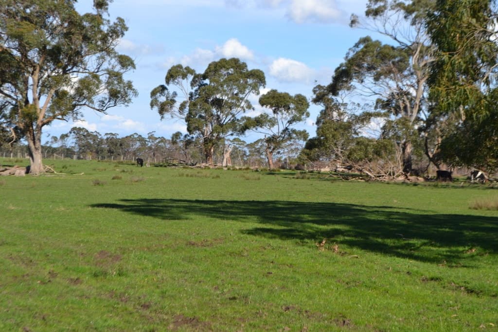 2450 Cobden Warrnambool Road, Naringal East, VIC, Naringal East - Thumbnail 6