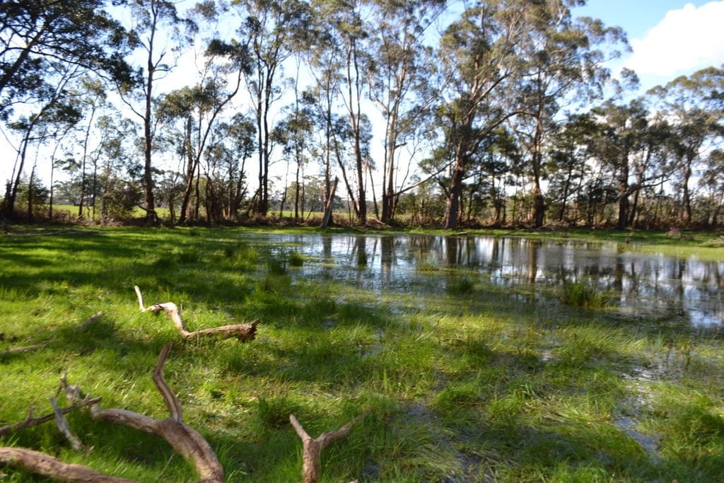 2450 Cobden Warrnambool Road, Naringal East, VIC, Naringal East - Thumbnail 7