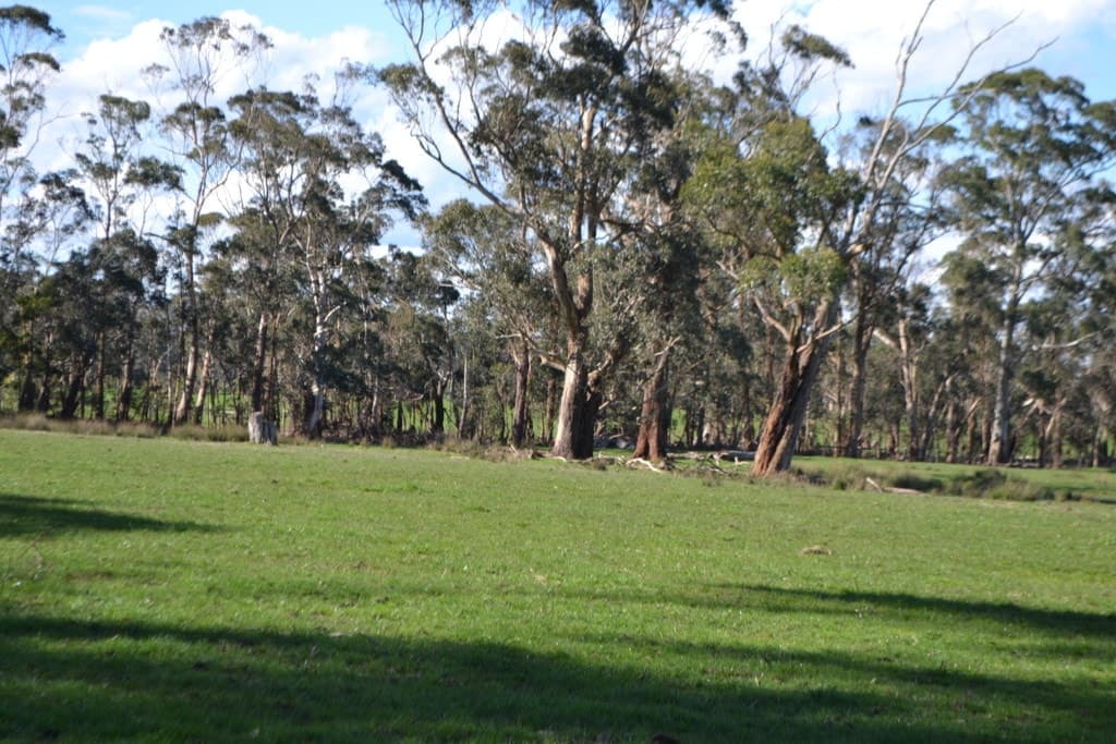 2450 Cobden Warrnambool Road, Naringal East, VIC, Naringal East - Thumbnail 8