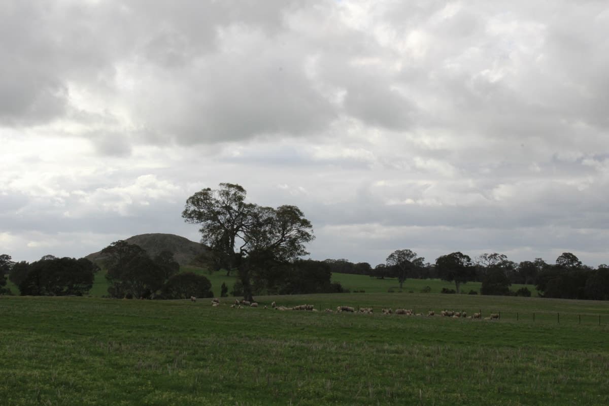 Mt Cavendish Road, Cavendish, VIC, Cavendish - Image 1