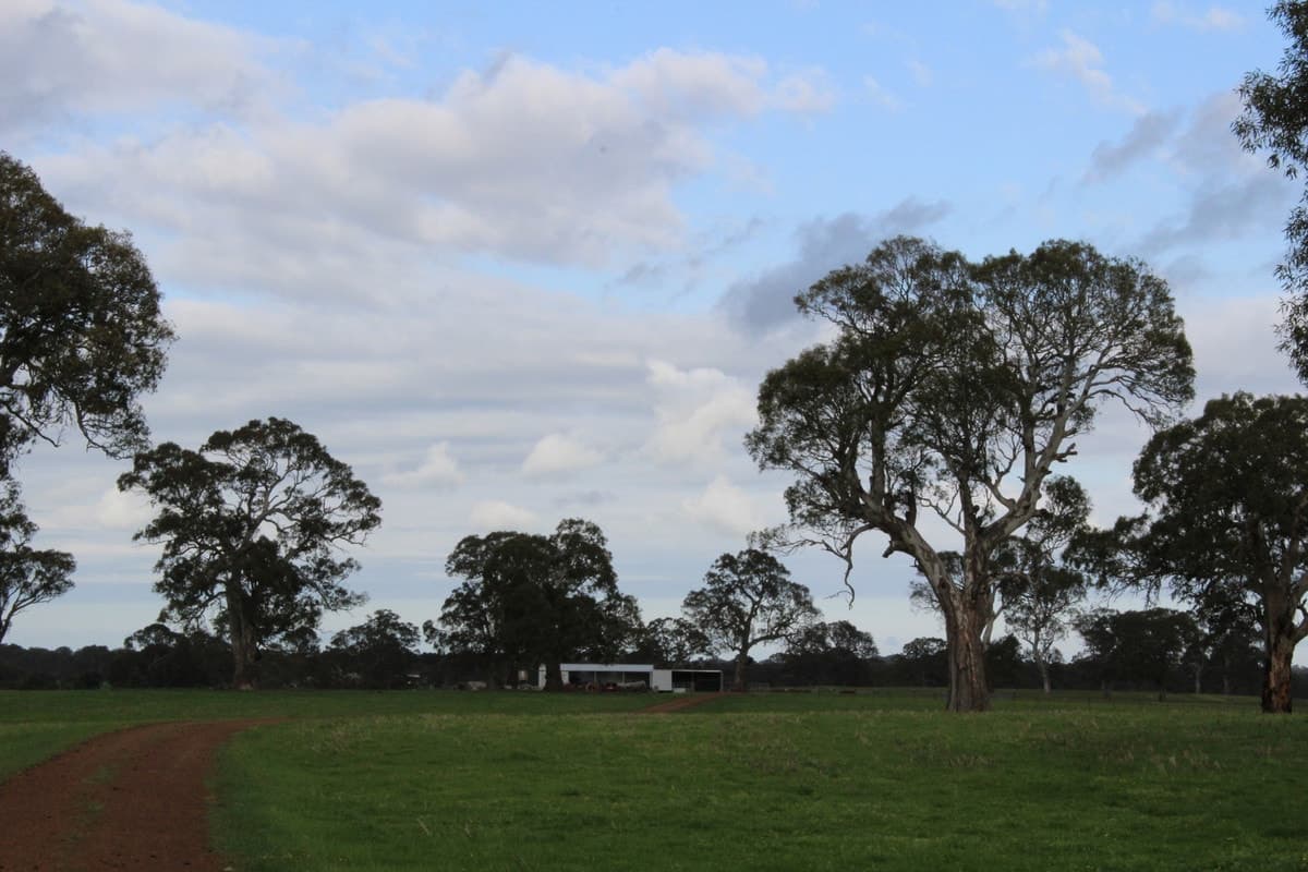 Mt Cavendish Road, Cavendish, VIC, Cavendish - Thumbnail 3