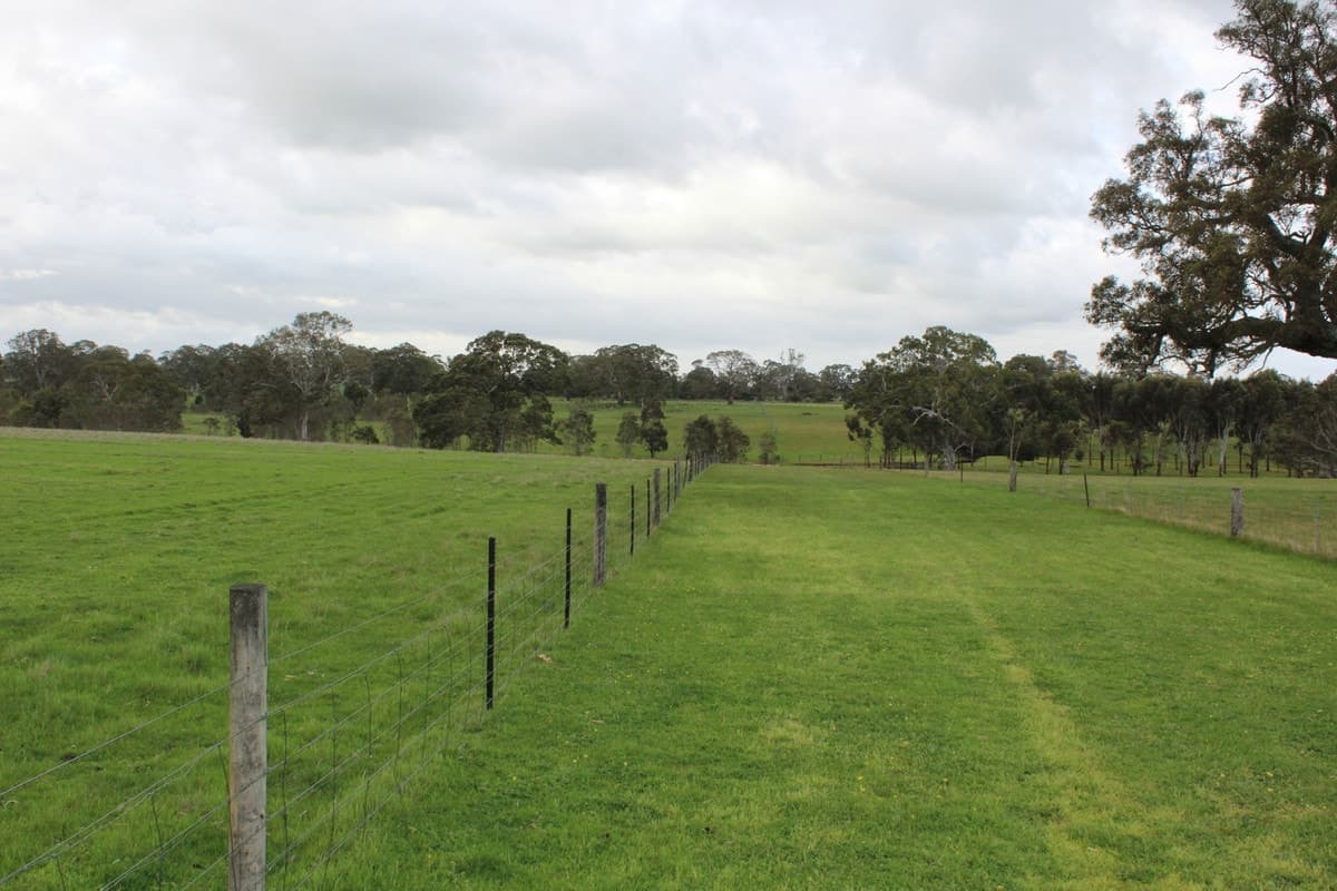 Mt Cavendish Road, Cavendish, VIC, Cavendish - Thumbnail 5
