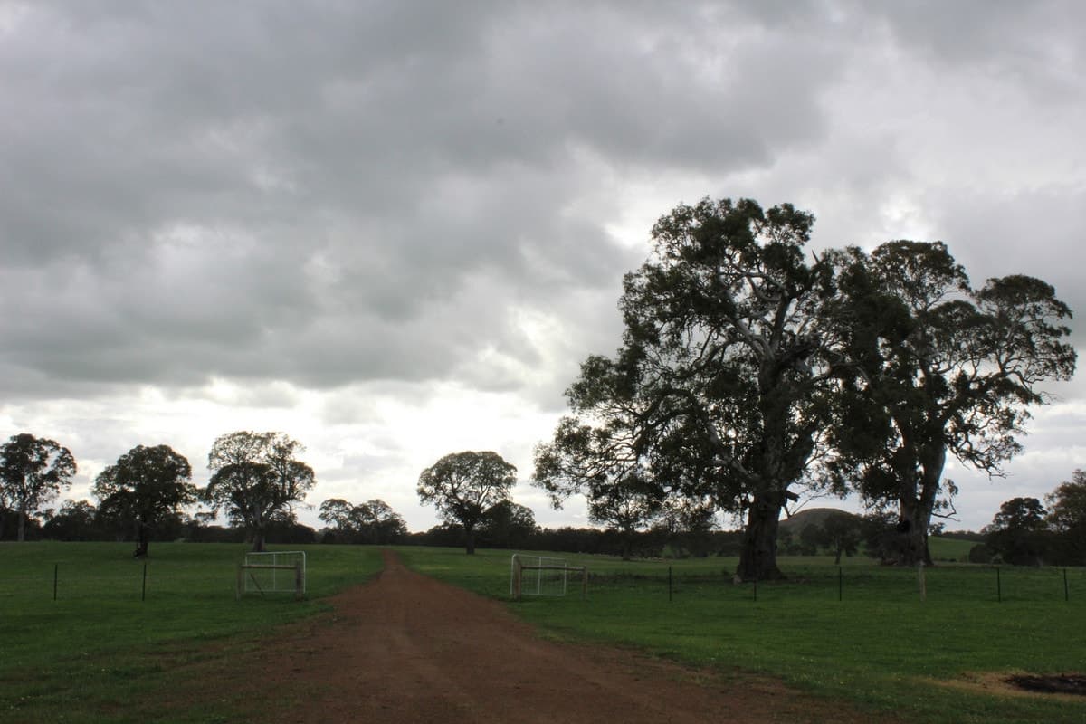 Mt Cavendish Road, Cavendish, VIC, Cavendish - Thumbnail 8