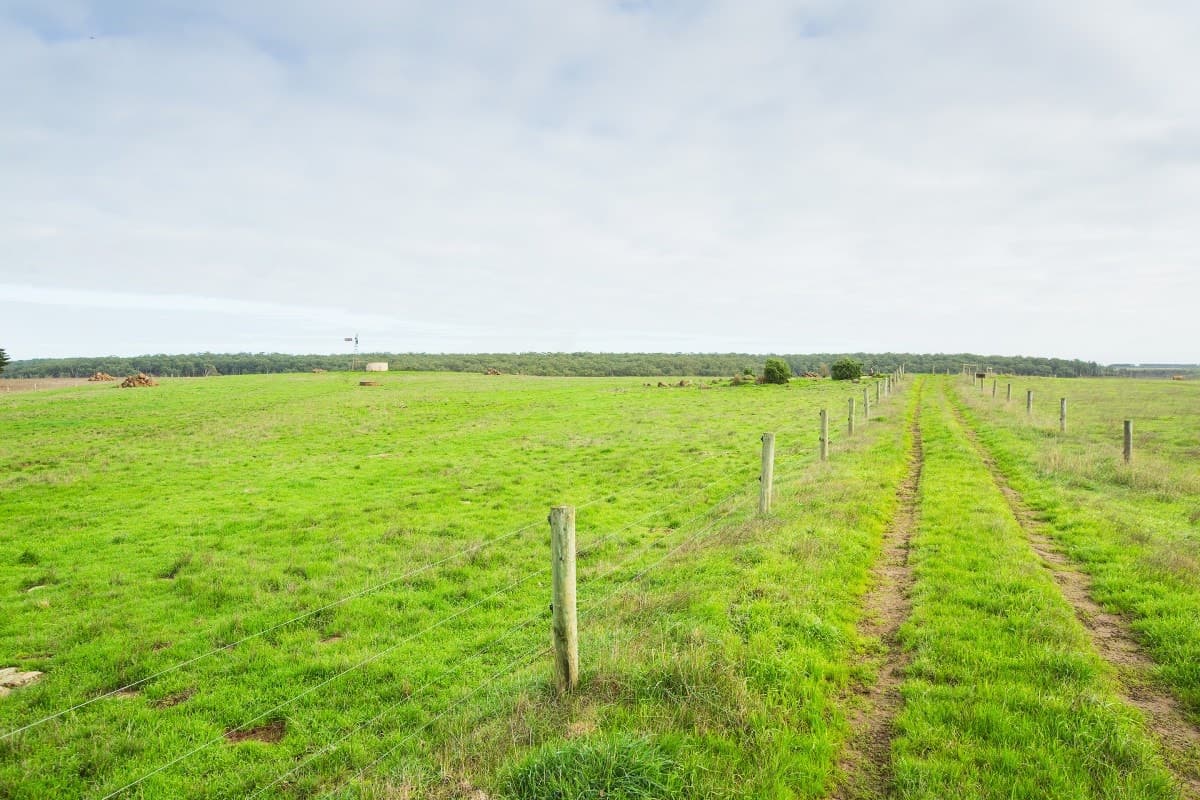 1690 Ellerslie-Panmure Road, Panmure, VIC, Panmure - Thumbnail 4