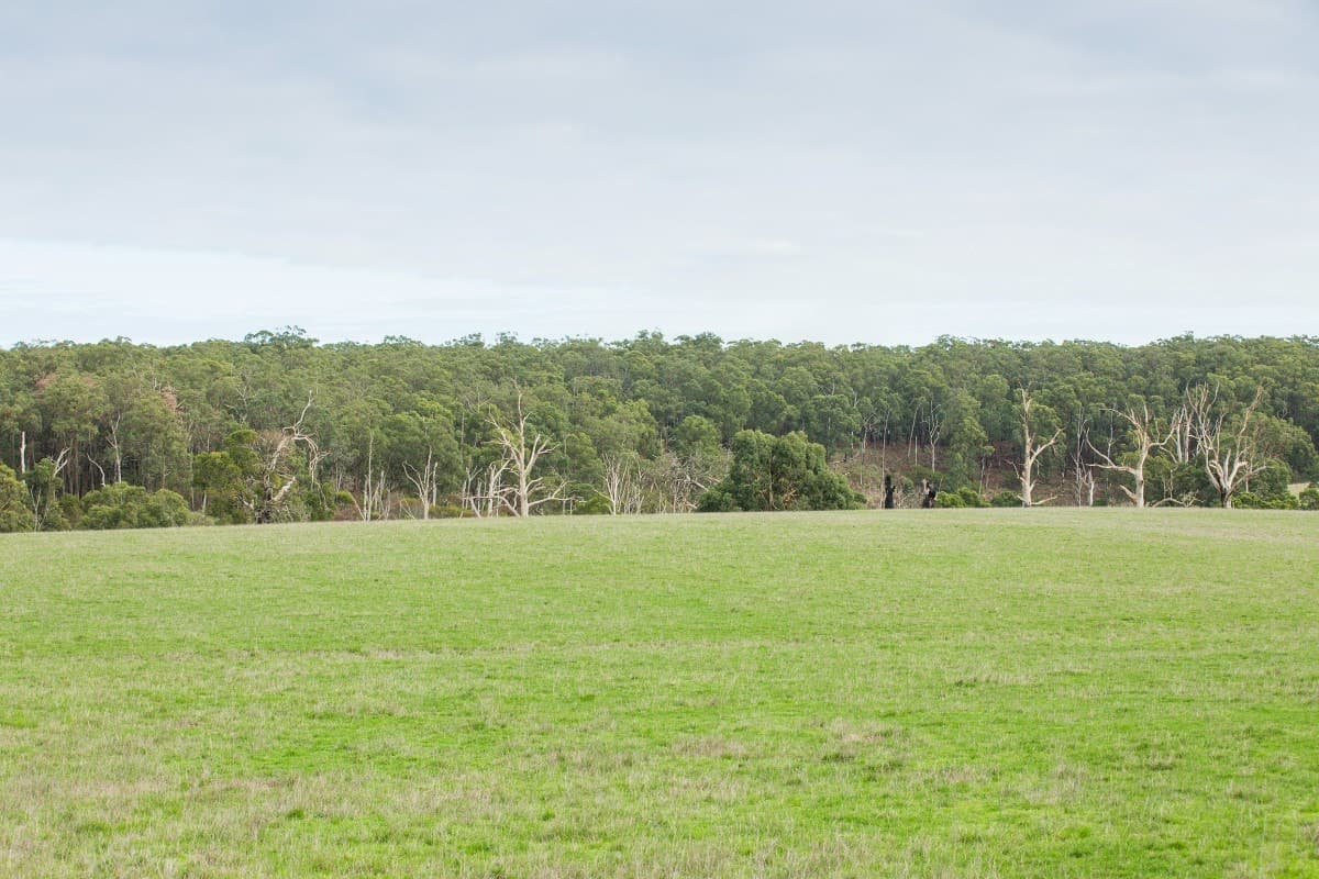 1690 Ellerslie-Panmure Road, Panmure, VIC, Panmure - Thumbnail 6