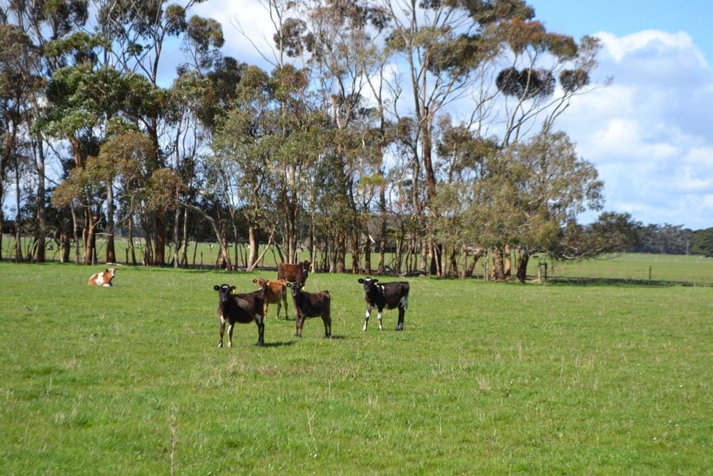 Corner of Bailey's Road & Hickey's Road, Nullawarre, VIC, Nullawarre - Thumbnail 2