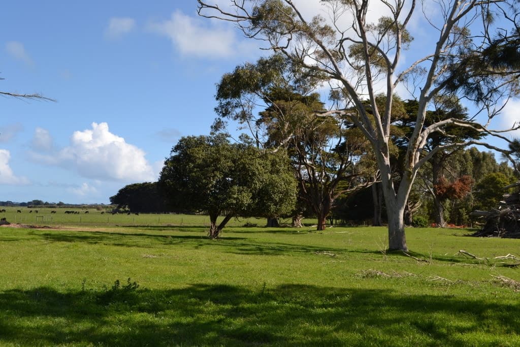Corner of Bailey's Road & Hickey's Road, Nullawarre, VIC, Nullawarre - Thumbnail 5