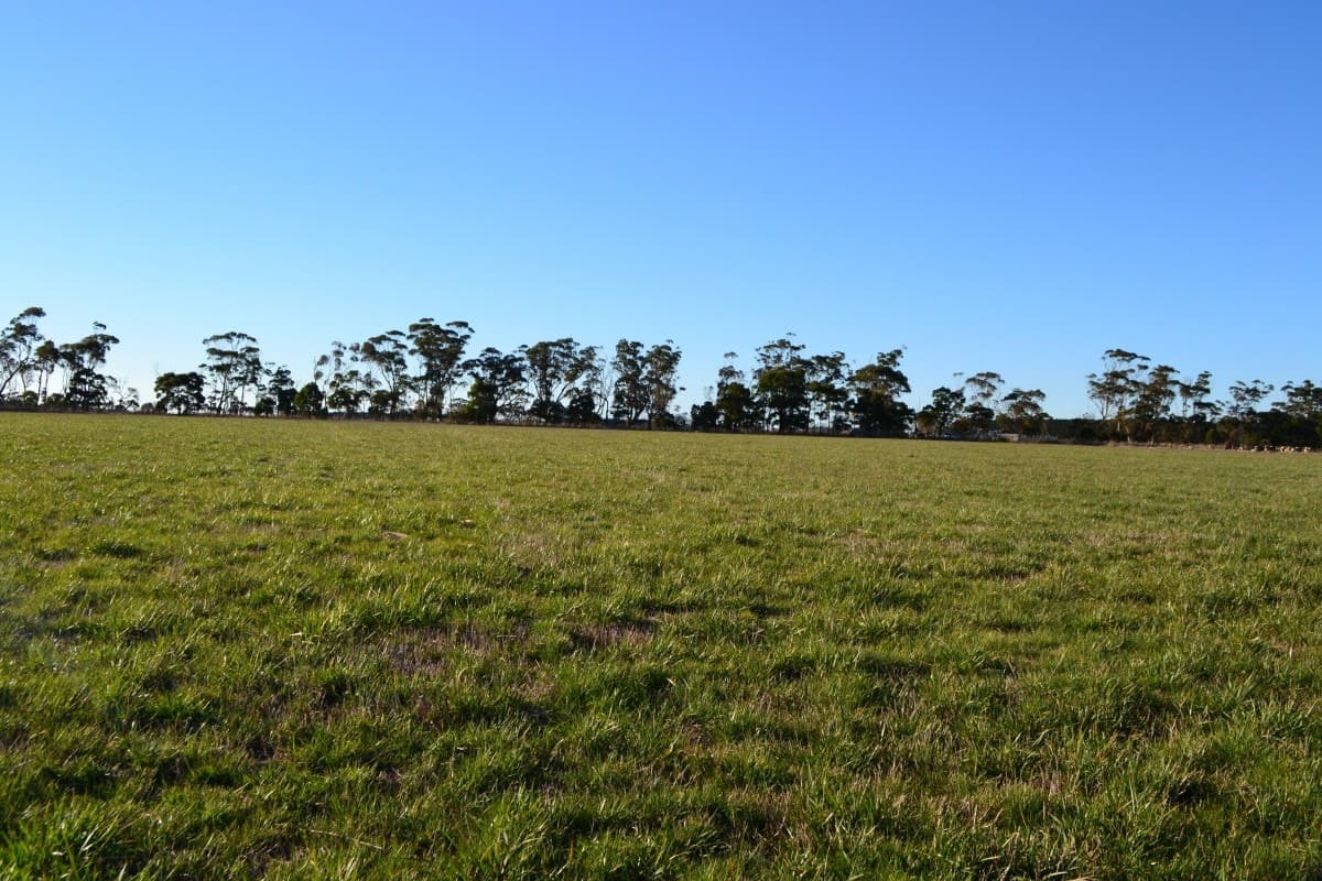 1 Slaughteryard Road, Terang, VIC, Terang - Image 1